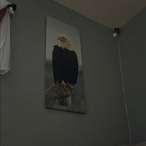 Meet your Posher, Oscar